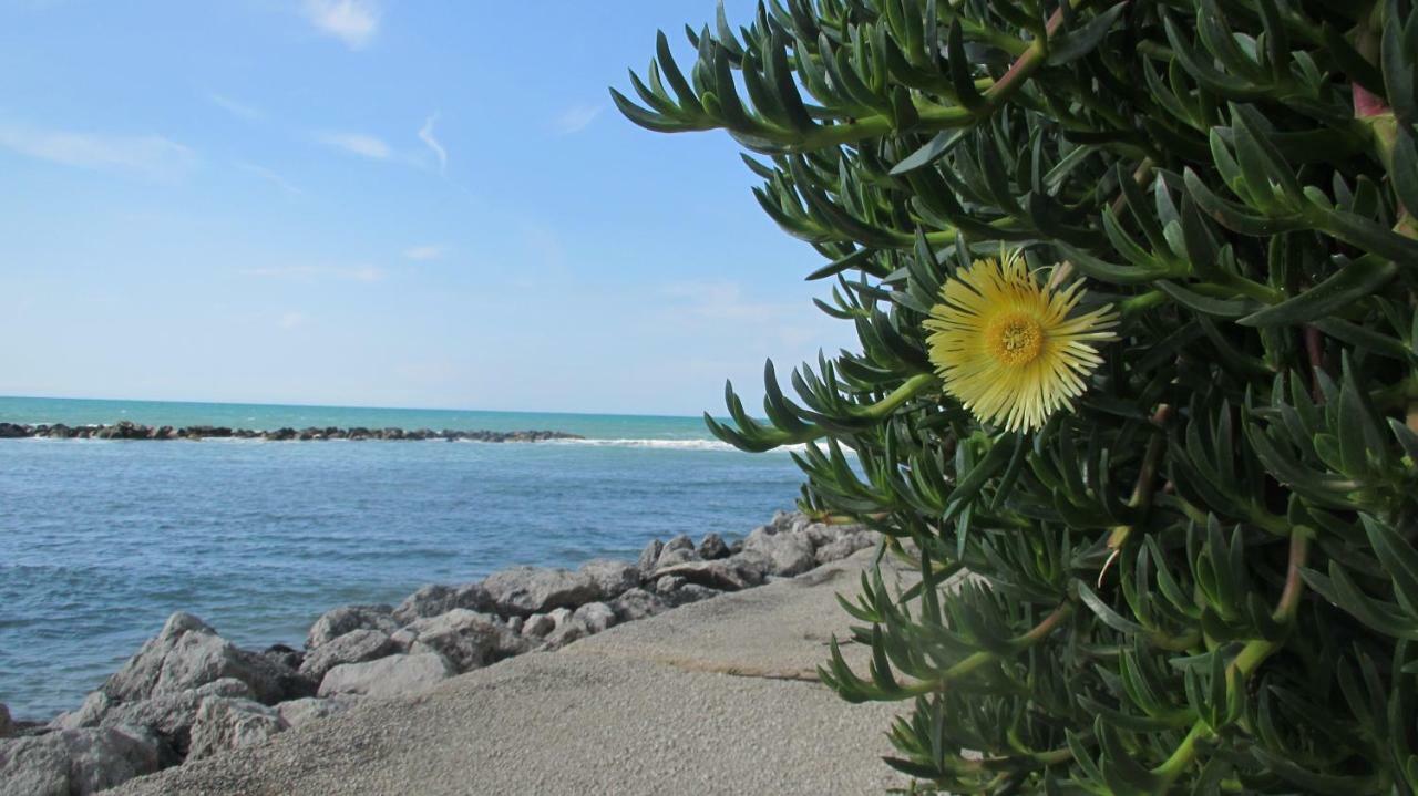 Sapori Di Mare Trappeto (Sicily) Exterior foto